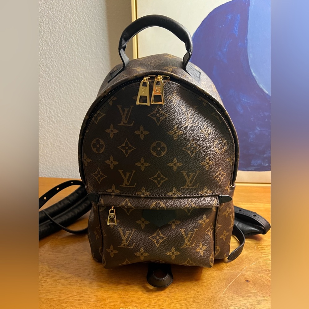 Authentic Louis Vuitton palm spring pm backpack